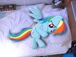 Size: 750x562 | Tagged: artist:tesla51, artist:waranto, bed, crying, curled up, derpibooru import, irl, photo, ponies in real life, rainbow dash, sad, safe, solo, vector