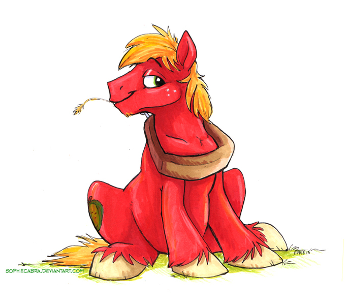 Size: 700x615 | Tagged: safe, artist:spainfischer, derpibooru import, big macintosh, earth pony, pony, canterlot high, cute, fluffy, goatee, lidded eyes, looking at you, male, simple background, sitting, smiling, solo, stallion, straw, unshorn fetlocks, white background