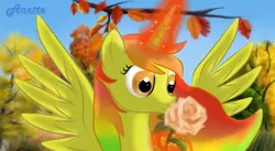 Size: 1000x547 | Tagged: safe, artist:anna-krylova, derpibooru import, princess golden dream (g4), alicorn, pony, autumn, flower, hearts and hooves day, magic, princess, sniffing, solo, telekinesis