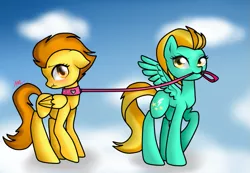 Size: 715x495 | Tagged: artist:kayak94, blushing, collar, derpibooru import, female, leash, lesbian, lightning dust, mouth hold, pet play, scrunchy face, shipping, spitdust, spitfire, suggestive