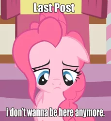 Size: 921x1005 | Tagged: safe, derpibooru import, edit, edited screencap, screencap, pinkie pie, earth pony, pony, attention horse, caption, drama, drama bait, drama queen, female, image macro, leaving the fandom, mare, meme, solo