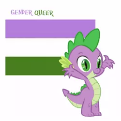 Size: 440x440 | Tagged: flag, genderqueer, genderqueer pride flag, safe, spike