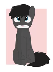 Size: 4836x6506 | Tagged: safe, artist:flicktransition, derpibooru import, oc, oc:flick, oc:flick transition, unofficial characters only, earth pony, pony, absurd resolution, heart, hearts and hooves day, letter, looking up, mail, male, sitting, smiling, solo, stallion