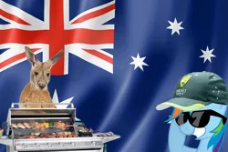 Size: 1500x1001 | Tagged: australia, australia day, barbeque, derpibooru import, flag, food, grill, hat, kangaroo, rainbow dash, safe, sunglasses