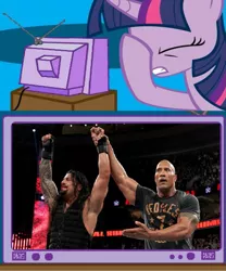 Size: 853x1024 | Tagged: derpibooru import, dwayne johnson, exploitable meme, meme, obligatory pony, roman reigns, royal rumble, safe, spoiler, tv meme, twilight sparkle, wwe