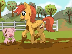 Size: 1024x768 | Tagged: artist:itstaylor-made, derpibooru import, mud, oc, oc:clementine, offspring, parent:big macintosh, parent:fluttershy, parents:fluttermac, pet, pet oc, pig, safe, unofficial characters only