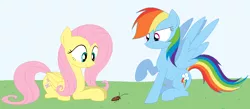 Size: 1128x493 | Tagged: artist:hyolark, cockroach, derpibooru import, fluttershy, insect, rainbow dash, safe