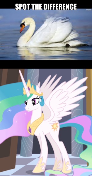 Size: 1494x2855 | Tagged: safe, derpibooru import, edit, edited screencap, screencap, princess celestia, swan, comparison, image macro, meme, needs more jpeg, photo, smiling, spot the difference, spread wings, swanlestia