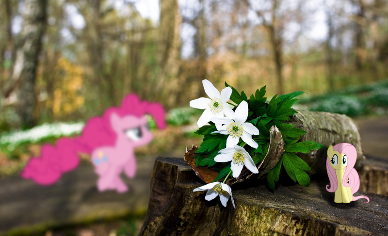 Size: 2877x1752 | Tagged: artist:craftybrony, artist:cyantal, artist:ocarina0ftimelord, blurry, derpibooru import, flower, fluttershy, forest, hiding, irl, log, photo, pinkie pie, ponies in real life, running, safe, shadow, vector