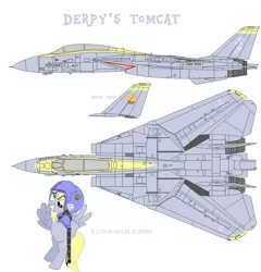 Size: 1800x1878 | Tagged: safe, artist:lonewolf3878, derpibooru import, derpy hooves, ponified, pegasus, pony, aircraft, f-14 tomcat, female, jet fighter, mare, warplane