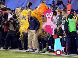 Size: 1022x763 | Tagged: american football, derpibooru import, gatorade, gatorade bath, human, irl, irl human, nfl, party cannon, pete carroll, photo, pinkie pie, russell wilson, safe, seattle seahawks, super bowl, super bowl champions, super bowl xlviii