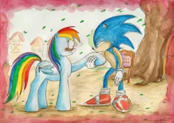 Size: 2306x1629 | Tagged: artist:souleatersaku90, blushing, commission, crossover, crossover shipping, derpibooru import, fanfic art, golden oaks library, interspecies, ponyville, rainbow dash, romance, safe, shipping, sonicdash, sonic the hedgehog, sonic the hedgehog (series), the simple life, traditional art, watercolor painting