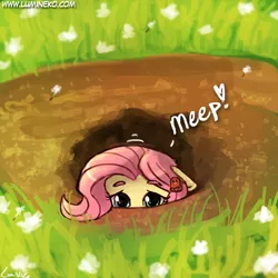 Size: 500x500 | Tagged: 30 minute art challenge, artist:lumineko, crossover, cute, derpibooru import, diglett, floppy ears, fluttershy, groundhog day, hiding, looking at you, lumineko is trying to murder us, meep, pokémon, safe, shy, shyabetes, solo, soon