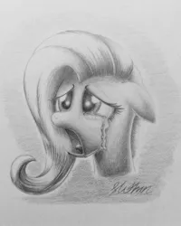 Size: 1873x2337 | Tagged: safe, artist:lollipony, derpibooru import, fluttershy, pegasus, pony, crying, female, floppy ears, grayscale, mare, monochrome, solo, traditional art