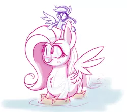 Size: 900x800 | Tagged: artist:heir-of-rick, eyepatch, fluttershy, micro, pirate dash, rainbow dash, riding, safe, size difference, sketch, smoldash, water, water wings