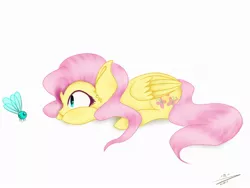 Size: 1280x960 | Tagged: safe, artist:sketchnightmare, derpibooru import, fluttershy, parasprite, pegasus, pony, ear fluff, female, looking at something, mare, profile, prone, simple background, solo, the stare, white background