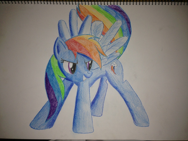 Size: 3264x2448 | Tagged: artist:lethal-doorknob, rainbow dash, safe, solo, traditional art