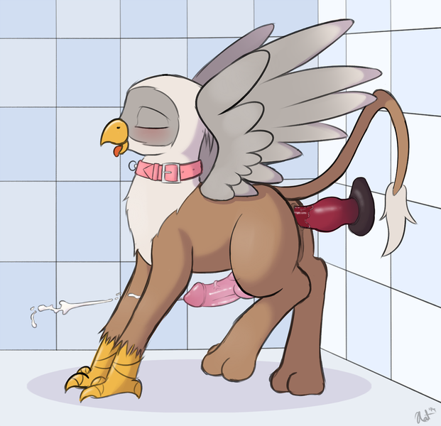 Size: 1280x1236 | Tagged: explicit, artist:ratofdrawn, derpibooru import, oc, unofficial characters only, gryphon, anal insertion, anal orgasm, blushing, canine penis, claws, collar, cum, cumming, dildo, insertion, knot, knotted dildo, male, nudity, orgasm, penis, sex toy, solo, solo male, wings