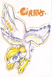 Size: 1356x2000 | Tagged: artist:hellticket, derpibooru import, flying, hippogriff, hybrid, marker drawing, oc, oc:cirrus sky, safe, simple background, solo, traditional art, unofficial characters only, white background