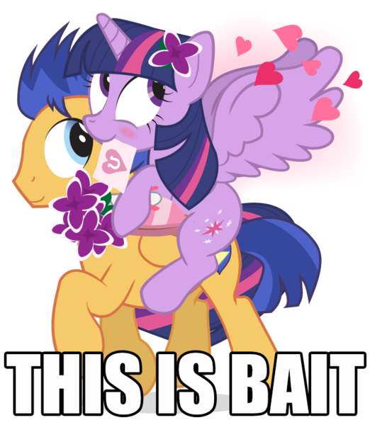 Size: 705x810 | Tagged: safe, artist:dm29, derpibooru import, edit, flash sentry, twilight sparkle, twilight sparkle (alicorn), alicorn, pegasus, pony, drama bait, female, flashlight, image macro, male, mare, meme, meta, shipping, simple background, stallion, straight, transparent background, vector