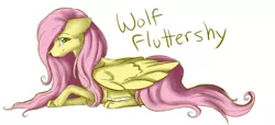 Size: 4119x1884 | Tagged: safe, artist:dari-draws, derpibooru import, fluttershy, pegasus, pony, wolf, flutterwolf, species swap