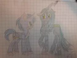 Size: 2560x1920 | Tagged: safe, artist:x-shiningstar-x, derpibooru import, queen chrysalis, ponified, alicorn, pony, alicornified, graph paper, photo, race swap, request, sonic the hedgehog, sonic the hedgehog (series), traditional art, wingless