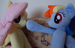 Size: 648x416 | Tagged: safe, artist:egondalatz, derpibooru import, fluttershy, rainbow dash, pegasus, pony, animated, boop, cute, eye contact, female, irl, looking at each other, mare, photo, plushie, smiling