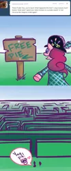 Size: 500x1200 | Tagged: safe, artist:alipes, derpibooru import, pinkie pie, earth pony, pony, ask pinkie pierate, ask, bipedal, clothes, comic, female, hat, mare, maze, pirate, solo, tumblr