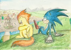 Size: 2332x1643 | Tagged: artist:souleatersaku90, crossover, derpibooru import, fanfic, fanfic art, incorrect leg anatomy, ponyville, safe, scenery, sonic boom, sonic the hedgehog, sonic the hedgehog (series), spitfire, the simple life, traditional art, watercolor painting