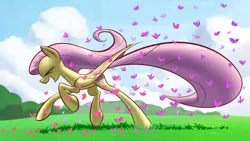 Size: 1920x1080 | Tagged: safe, derpibooru import, fluttershy, butterfly, pegasus, pony, cloud, cute, eyes closed, female, grass, mare, open mouth, running, shyabetes, sky, smiling, solo, underpable is trying to murder us, wallpaper