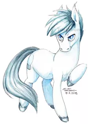 Size: 650x900 | Tagged: safe, artist:taritoons, derpibooru import, oc, oc:ailver bright, unofficial characters only, earth pony, pony, aquarelle, commission, glare, looking at you, raised hoof, simple background, smirk, solo, unshorn fetlocks, white background