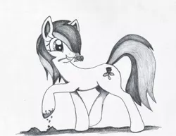 Size: 1018x785 | Tagged: artist:corvostawr, background pony, derpibooru import, dirty, flower, monochrome, mud, rose, roseluck, safe, solo