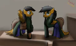 Size: 1280x771 | Tagged: safe, artist:the-furry-railfan, derpibooru import, oc, oc:flash-bang, oc:twintails, unofficial characters only, pegasus, pony, fallout equestria, fallout equestria: occupational hazards, awkward, clothes, doppelganger, gun, luger, pistol, post office, rule 63, saddle bag, story