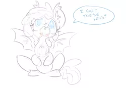 Size: 949x661 | Tagged: artist needed, safe, derpibooru import, oc, oc:sirocca, unofficial characters only, bat pony, pony, cute, key, sketch, speech bubble