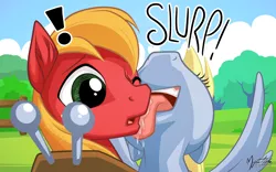 Size: 2560x1600 | Tagged: safe, artist:mysticalpha, derpibooru import, big macintosh, derpy hooves, earth pony, pony, :o, derpymac, drool, exclamation point, face licking, licking, male, meme, open mouth, shipping, spread wings, stallion, straight, surprised, tongue out, wink