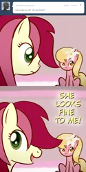 Size: 650x1300 | Tagged: artist:why485, ask, ask the flower trio, comic, derpibooru import, lily, lily valley, roseluck, safe, tumblr