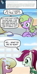 Size: 650x1300 | Tagged: artist:why485, ask, ask the flower trio, comic, daisy, flower trio, flower wishes, lily, lily valley, roseluck, safe, tumblr