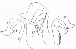 Size: 895x573 | Tagged: artist:why485, ask, ask the flower trio, monochrome, roseluck, safe, sketch, solo, tumblr