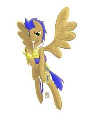 Size: 1024x1325 | Tagged: safe, artist:etiluos, derpibooru import, oc, oc:zephyr verve, unofficial characters only, pegasus, pony, armor, goggles, royal guard