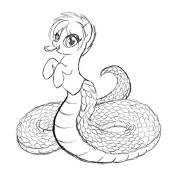 Size: 800x800 | Tagged: derpibooru import, forked tongue, lamia, monochrome, monster, original species, safe, scales, snake