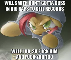 Size: 500x424 | Tagged: safe, derpibooru import, babs seed, earth pony, pony, babs the rapper, clothes, eminem, exploitable meme, female, filly, hoodie, image macro, meme, nose wrinkle, solo, the real slim shady (eminem), vulgar