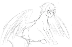Size: 3009x1961 | Tagged: artist:patch, bedroom eyes, belly, bit, derpibooru import, grayscale, looking back, monochrome, mouth hold, pregnant, safe, simple background, sitting, sketch, smiling, solo, spitfire, spread wings, white background