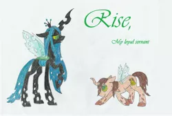 Size: 3544x2388 | Tagged: artist:gerbsterpers, changelingified, chrysalislover, derpibooru import, kneeling, oc, oc:poisoned soul, queen chrysalis, safe