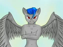 Size: 2000x1500 | Tagged: anthro, anthro oc, artist:marcoon1305, derpibooru import, oc, oc:starlight storm, pegasus, safe, solo, unofficial characters only, wings