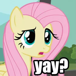 Size: 525x525 | Tagged: caption, derpibooru import, fluttershy, image macro, question, question mark, reaction image, safe, screencap, solo, source needed, unsure, yay