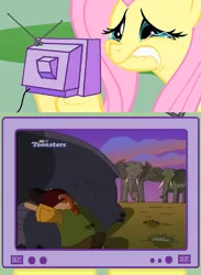 Size: 563x771 | Tagged: death, derpibooru import, elephant, eliza thornberry, exploitable meme, fluttercry, fluttershy, meme, nickelodeon, obligatory pony, rebecca the elephant, sad, safe, the wild thornberrys, tv meme