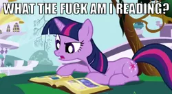 Size: 602x331 | Tagged: derpibooru import, edit, edited screencap, friendship is magic, image macro, meme, prone, reaction image, safe, screencap, solo, twilight sparkle, vulgar, what the fuck am i reading