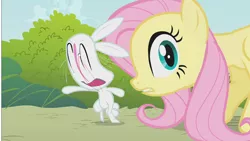 Size: 1280x720 | Tagged: angel bunny, artist:anonymous, derpibooru import, dragonshy, duo, edit, edited screencap, fluttershy, great moments in animation, lol, safe, screencap, smear frame