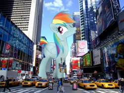 Size: 2400x1800 | Tagged: safe, artist:fandroit, derpibooru import, rainbow dash, pony, crown victoria, ford, giant pony, giant rainbow dash, irl, macro, mega/giant rainbow dash, new york, new york city, photo, ponies in real life, taxi, whistling