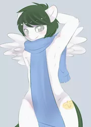 Size: 755x1057 | Tagged: anthro, armpits, artist:fluttersin, clothes, crossgender, cutie mark, derpibooru import, femboy, girly, male, naked scarf, nudity, oc, oc:winter mint, pegasus, scarf, solo, solo male, spread wings, suggestive, unofficial characters only